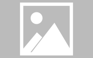 沛县绥化网站搭建公司有哪些（信息网绥化）