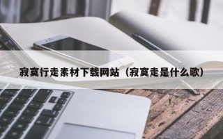 沛县寂寞行走素材下载网站（寂寞走是什么歌）